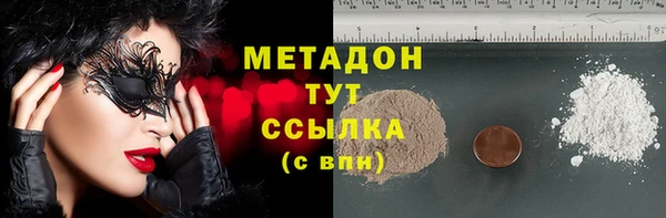 PSILOCYBIN Белокуриха