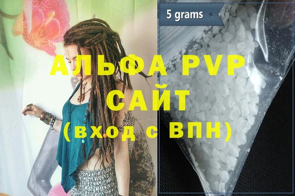 PSILOCYBIN Белокуриха