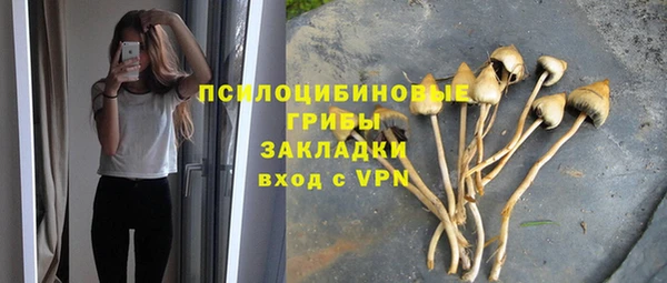 PSILOCYBIN Белокуриха