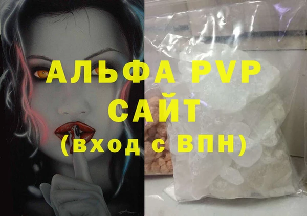 PSILOCYBIN Белокуриха