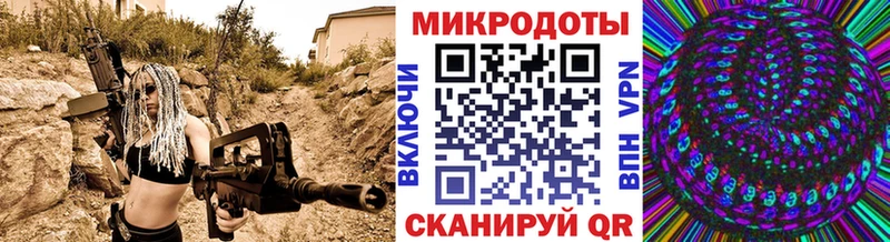 Псилоцибиновые грибы Psilocybine cubensis Богородицк