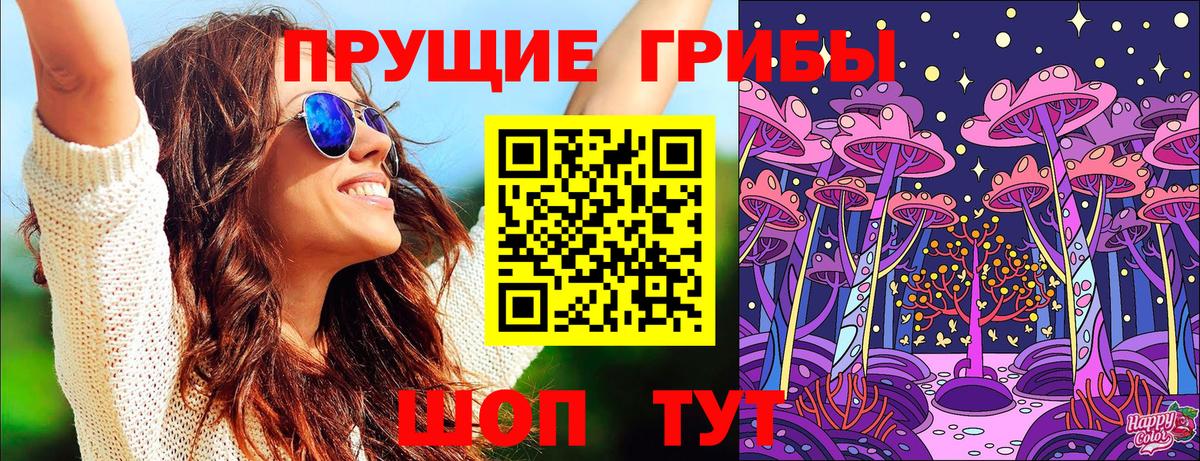 Псилоцибиновые грибы Psilocybine cubensis Богородицк