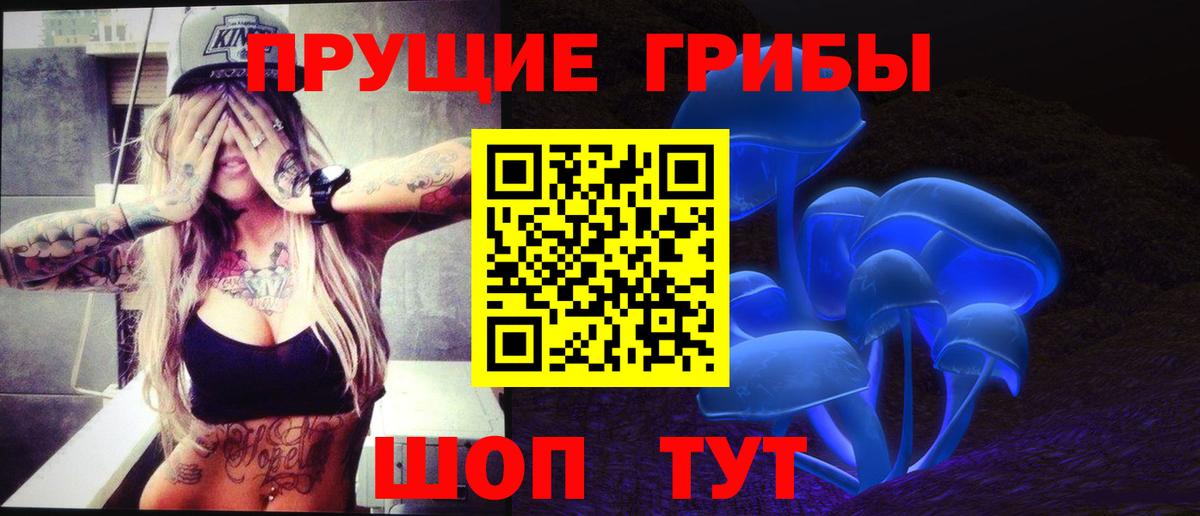 Богородицк  Галлюциногенные грибы Magic Shrooms  Вход с VPN 